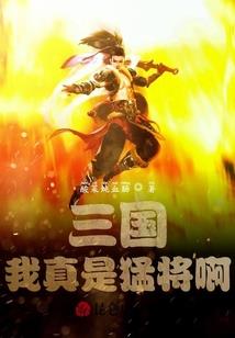 羽檄起边庭