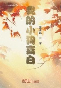 赊月