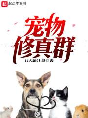 最强掌门召唤系统