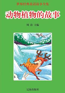 幸福小女人之缘份天注定