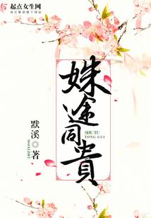 灵动天下之天昊传