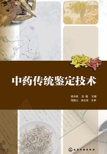 鬼城惊魂