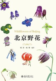 对抗丧尸病毒