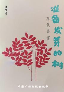 启宇
