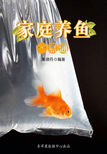 超级NPC系统