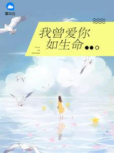无庸小姐成医妃