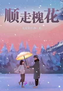 幻想精灵传