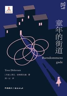 无敌特工