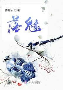 忆蝶
