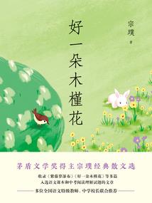偷心的大盗