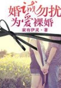 寻石传说