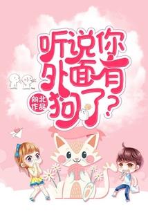 扎基的继承者