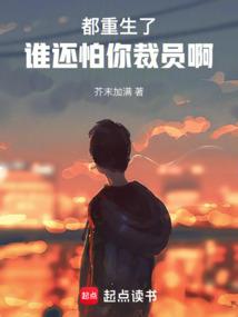 力挽狂澜之我是崇祯