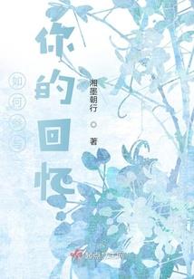 穿小说之网近