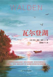 索利暗游天使