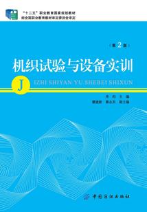 我们的韶华时光