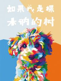 时光旋律青春年华