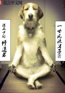 加点骑士