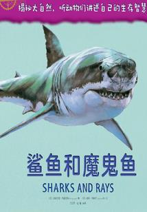 云中墨君