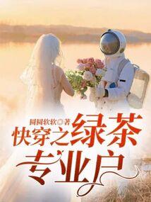 宠物小精灵之伪娘不是错