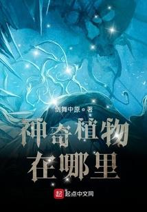 我的神奇电筒