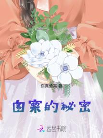 天影传奇
