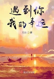风中雪月：灯火阑珊亦归途