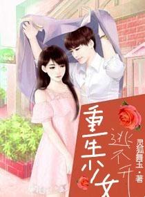 宠物小精灵系统
