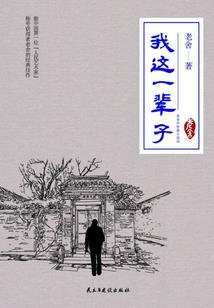 弋湖筱舟