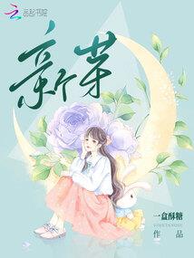道灵天书