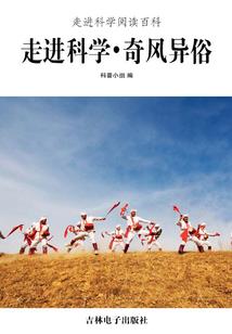 征途之风起云涌