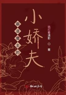 铁甲战士阿尔法