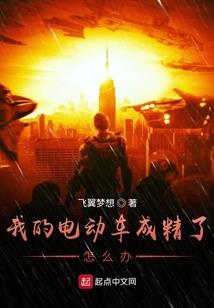 精灵：从水舰队小兵到丰缘之主