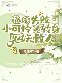 穿越来追星：夜落夫妇是王道