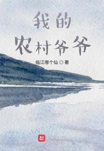 九天之上：林真传