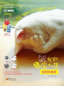 傲天君