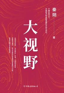 大夏政权