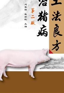 飞上天，与太阳肩并肩