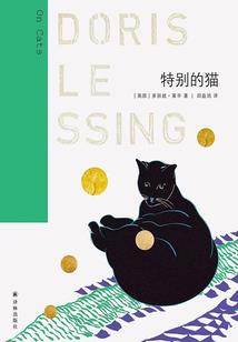 微隙里的温暖
