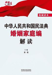 龙的传人傲苍穹