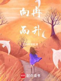 傻瓜王爷睿智王妃