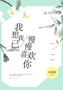 侠岚之昙花魅影