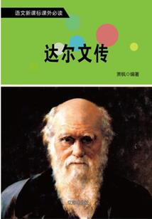 辐射流