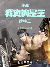 开局在荒野精英的纹章使