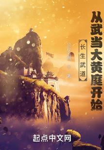 穿越大文圣