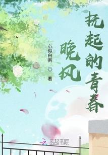 新还珠续集之再续情缘