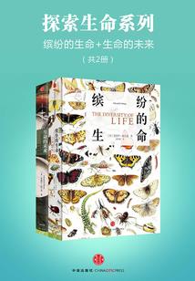 杨魁