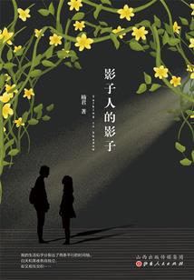 电站CGW