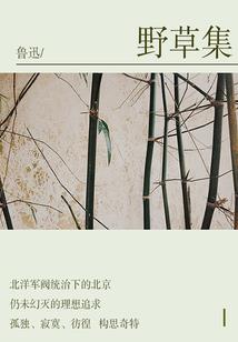 南北沉浮