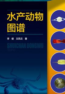 质量效应：疑云